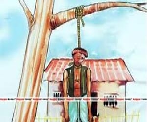 farmer Hanging in a field looking damage crop